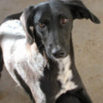 20251126-fotos-irma-06