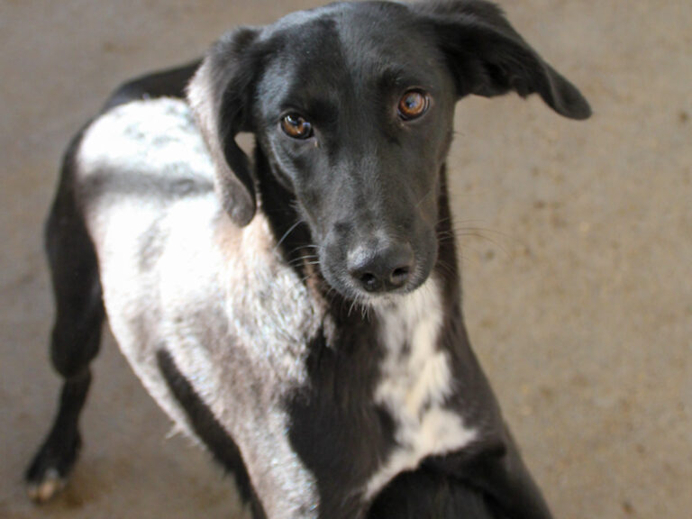 20251126-fotos-irma-06