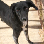 20251126-fotos-irma-07