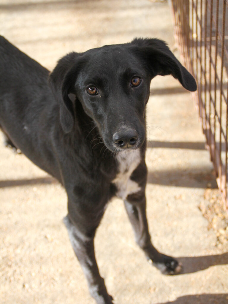 20251126-fotos-irma-07