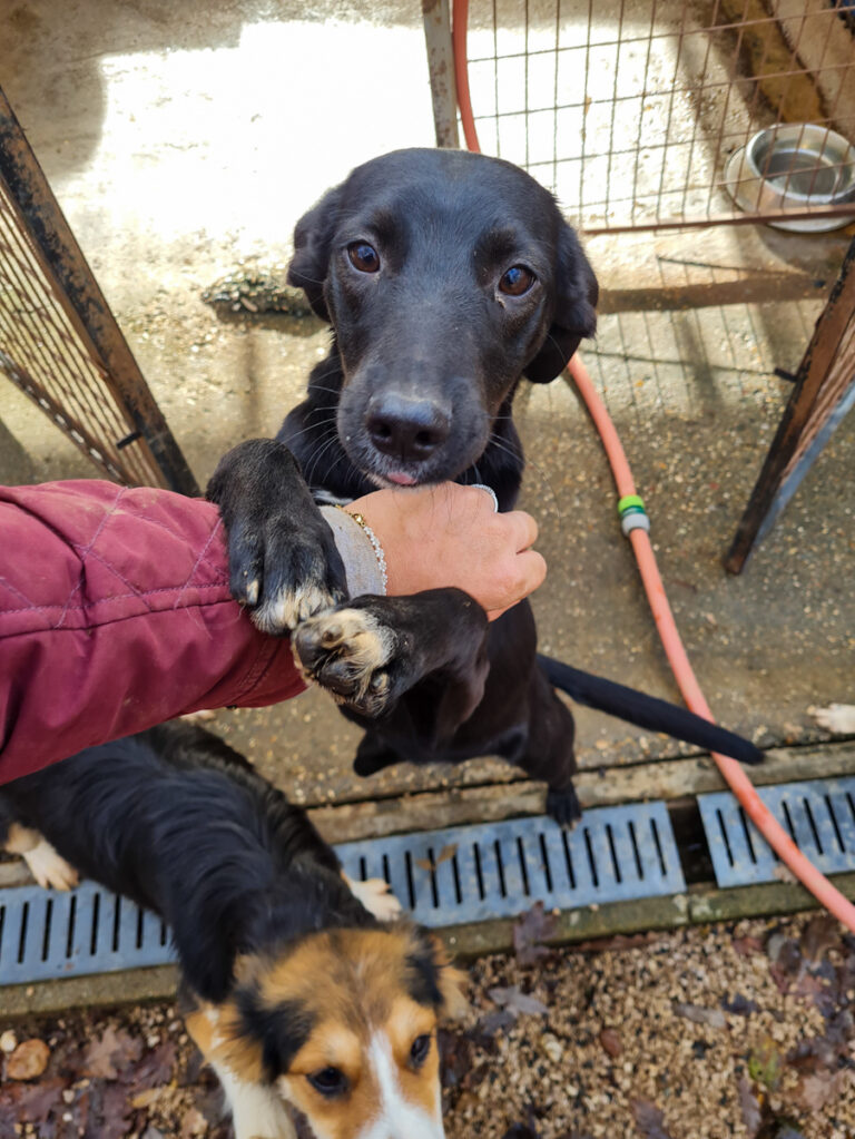 20251126-fotos-isidora-1