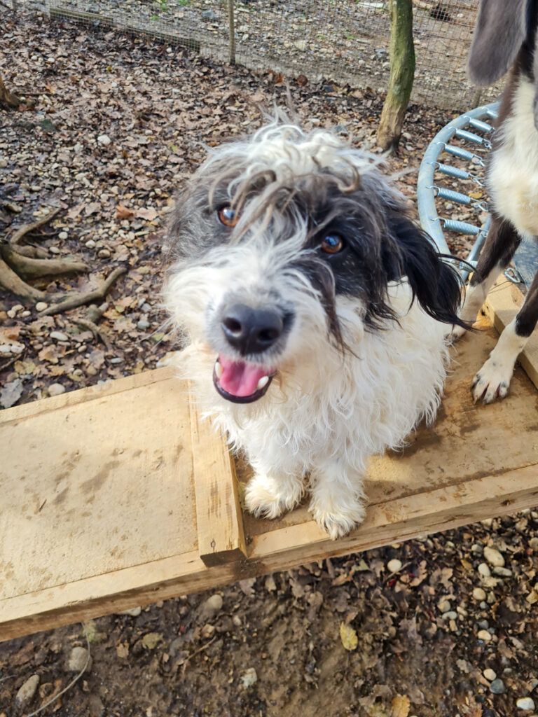 20251126-fotos-kelvin-03