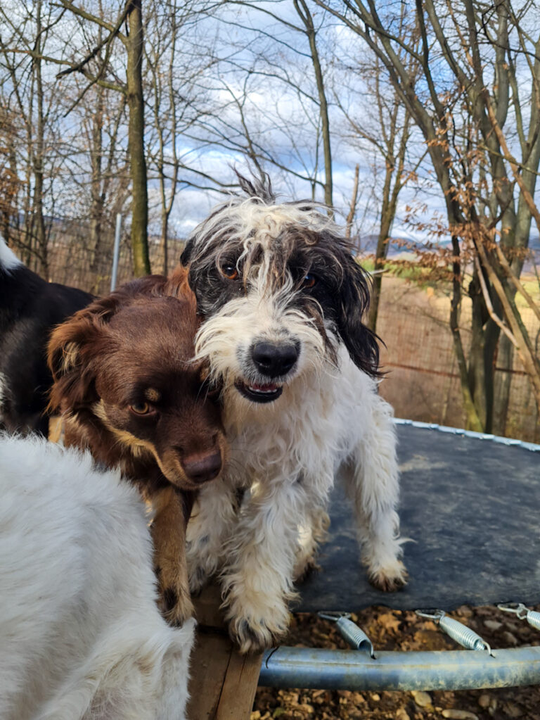 20251126-fotos-kelvin-08