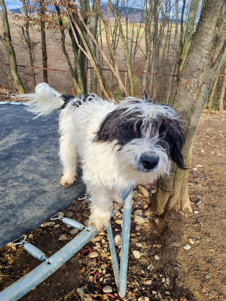 20251126-fotos-kelvin-10