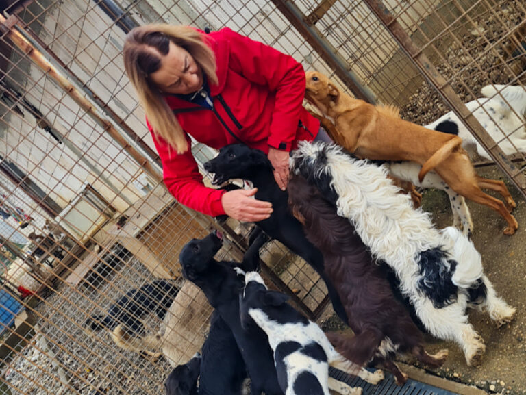 20251126-fotos-kelvin-11