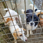 20251126-fotos-ledo-3