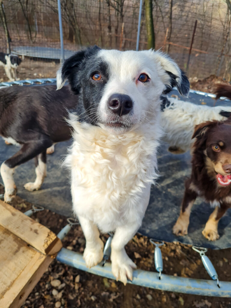 20251126-fotos-pupin-05