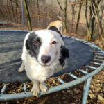 20251126-fotos-pupin-06
