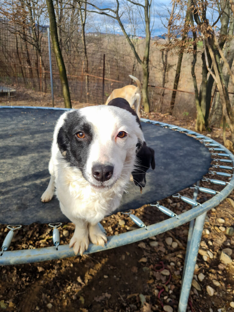 20251126-fotos-pupin-06