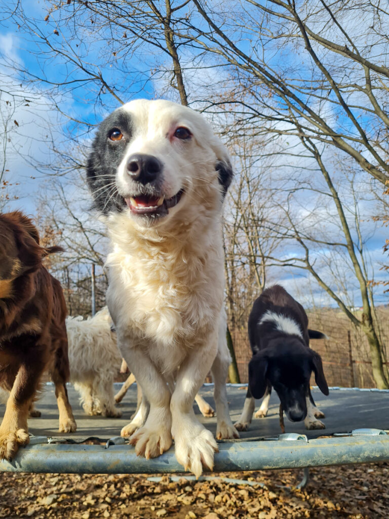 20251126-fotos-pupin-08