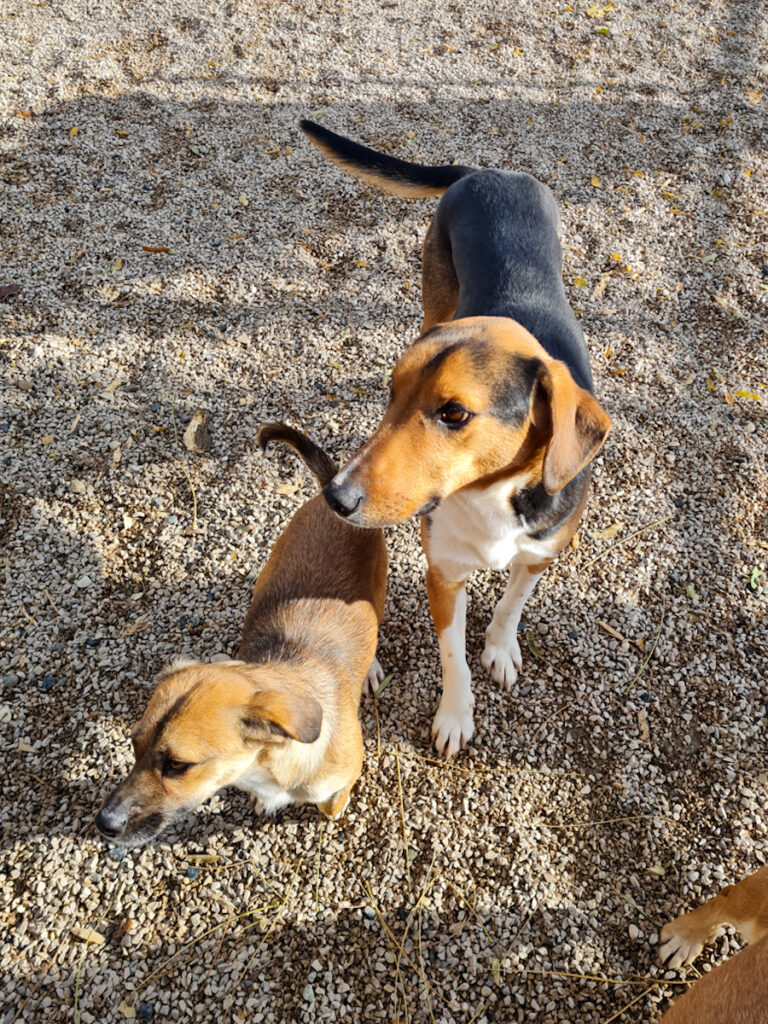 20251126-fotos-zlaja-4