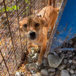 20250719-fotos-sena-1