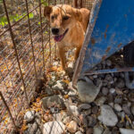 20250719-fotos-sena-2