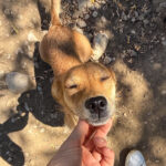 20250719-fotos-sena-3