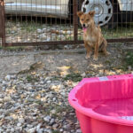 20250719-fotos-sena-5