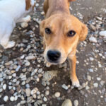 20250805-fotos-sena-1