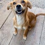 20250805-fotos-sena-3