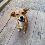 20250805-fotos-sena-4