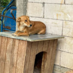 20250815-fotos-sena-01