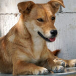 20250815-fotos-sena-04