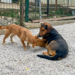 20250815-fotos-sena-06