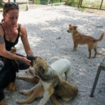 20250815-fotos-sena-07