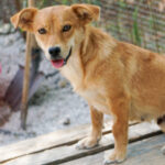 20250815-fotos-sena-13