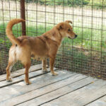 20250815-fotos-sena-14