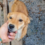 20250921-fotos-sena-1