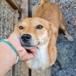 20250921-fotos-sena-3