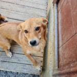 20250921-fotos-sena-4