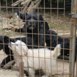 20250930-fotos-ramona-3