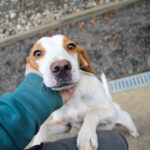 20250930-fotos-takita-01