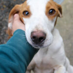 20250930-fotos-takita-04