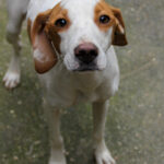 20250930-fotos-takita-06