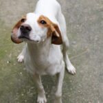 20250930-fotos-takita-07