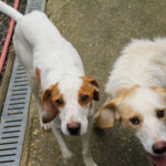 20250930-fotos-takita-11