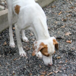 20250930-fotos-takita-12