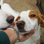 20250930-fotos-takita-14