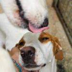 20250930-fotos-takita-18