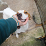 20250930-fotos-takita-19