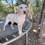 20251004-fotos-magdalena-1