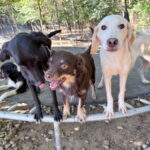 20251004-fotos-magdalena-2