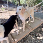 20251004-fotos-magdalena-4