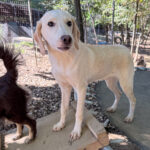 20251004-fotos-magdalena-5