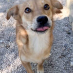 20251004-fotos-sena-10