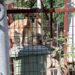 20251004-fotos-sena-11