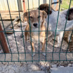 20251004-fotos-sena-12