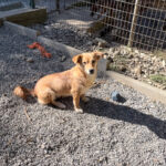 20251004-fotos-sena-3