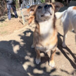 20251004-fotos-sena-4